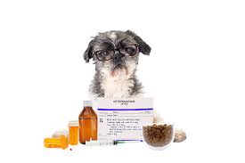 Pet Food & Medication