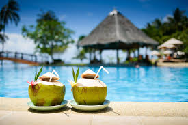 Travel & Vacations